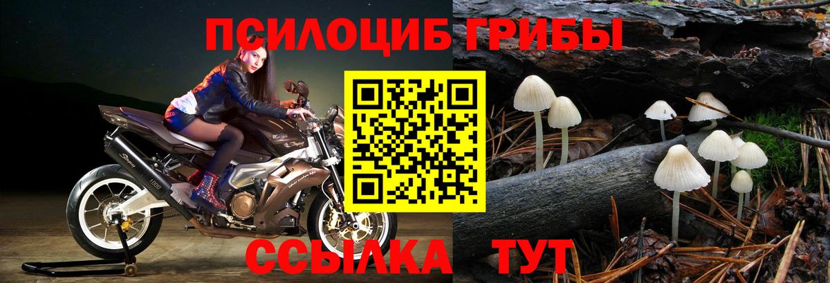 Гусиноозёрск  наркошоп  Вход с VPN  Псилоцибиновые грибы MAGIC MUSHROOMS 